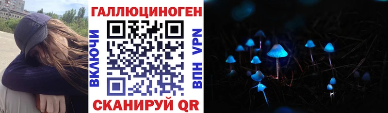 Купить закладки  Тосно  Псилоцибиновые грибы прущие грибы 